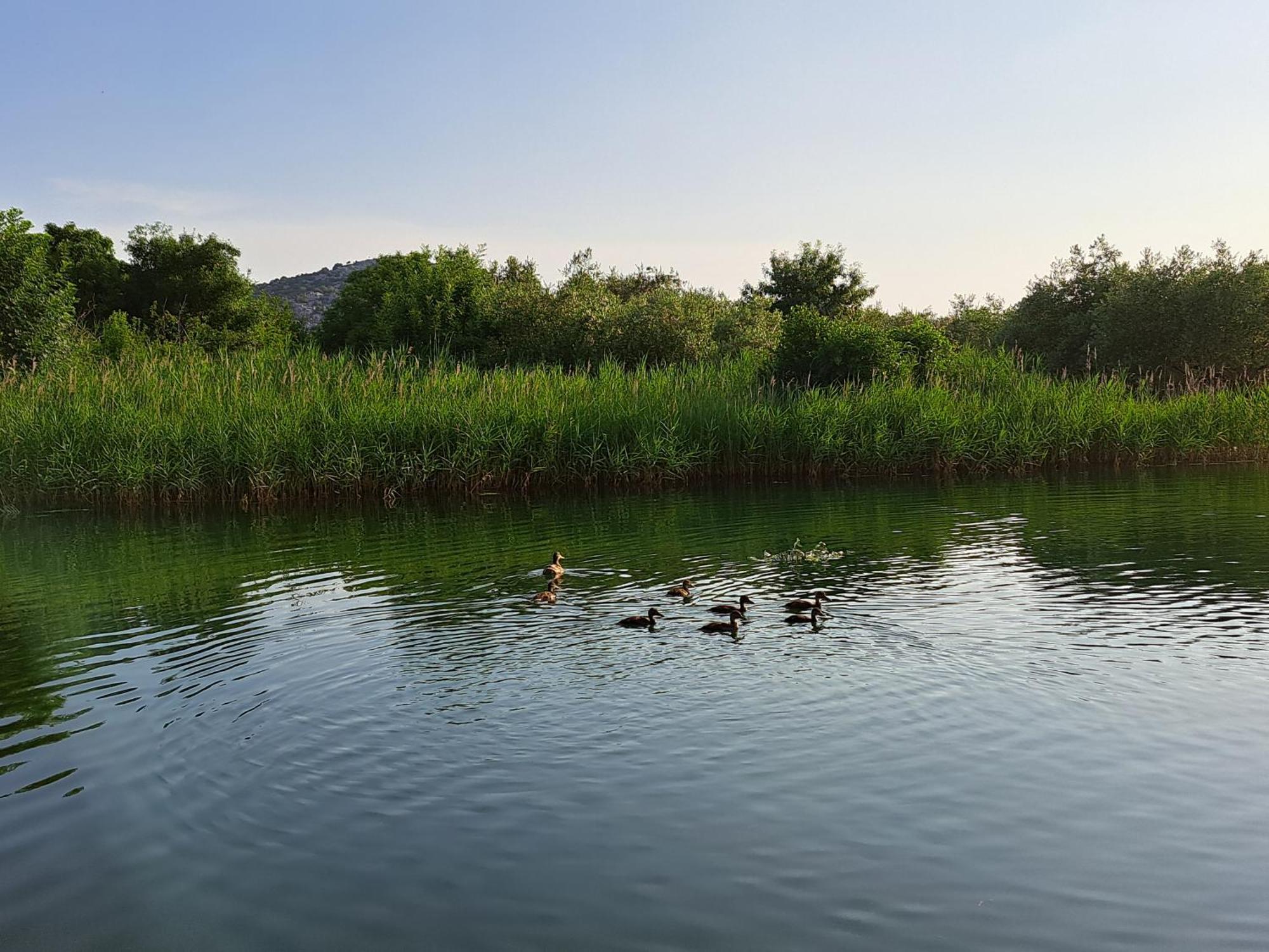 Apartmani Mostina Near River Ploce  Exterior foto